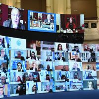 El Senado aprobó realizar sesiones remotas hasta el 2021