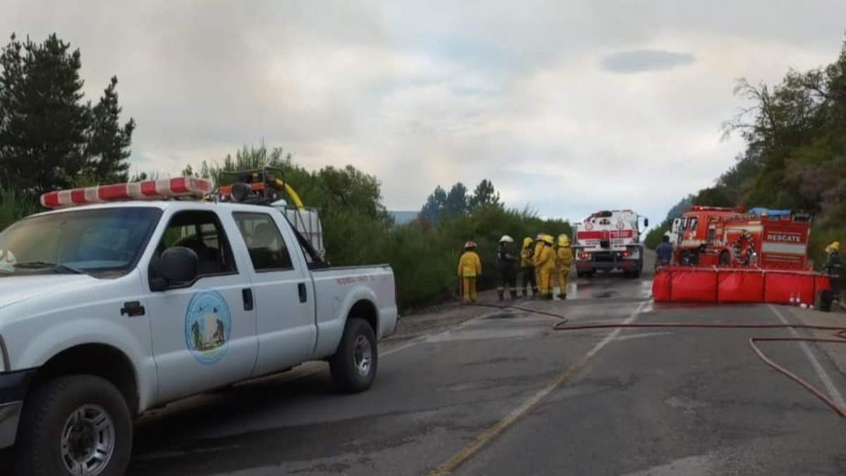 Gran operativo durante el incendio en la subida al barrio Los Radales de San Martín de los Andes. Fuente: (Facebook)