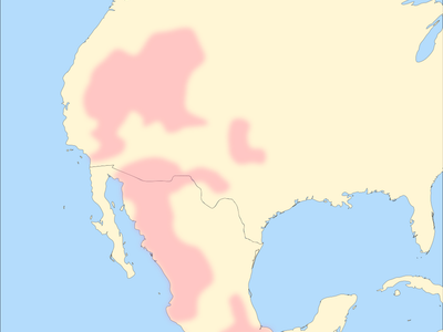 Ascendencia mexicana en California datada hace unos 5 mil 200 años