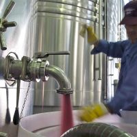 Fuerte incentivo para la venta de vino a granel