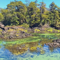 Laguna Verde, la joya escondida de Neuquén: cómo llegar y por qué visitarla en verano