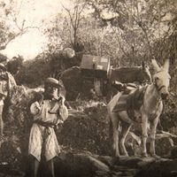 La disyuntiva ante el patrimonio arqueológico expoliado