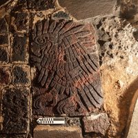 Otro hallazgo en Templo Mayor: un bajorrelieve con la imagen de un águila real
