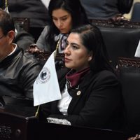 Diputada hidalguense investigada por posible abuso sexual infantil pide licencia indefinida