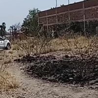 Madres buscadoras descubren restos humanos en fosa clandestina de Guanajuato