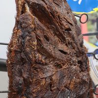 Aluminé revaloriza sus tradiciones y costumbres camperas en la Fiesta Provincial del Asado con Cuero