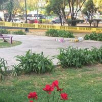 Paseo de perros termina en tragedia: Joven murió degollado y tres personas resultaron heridas en Coy