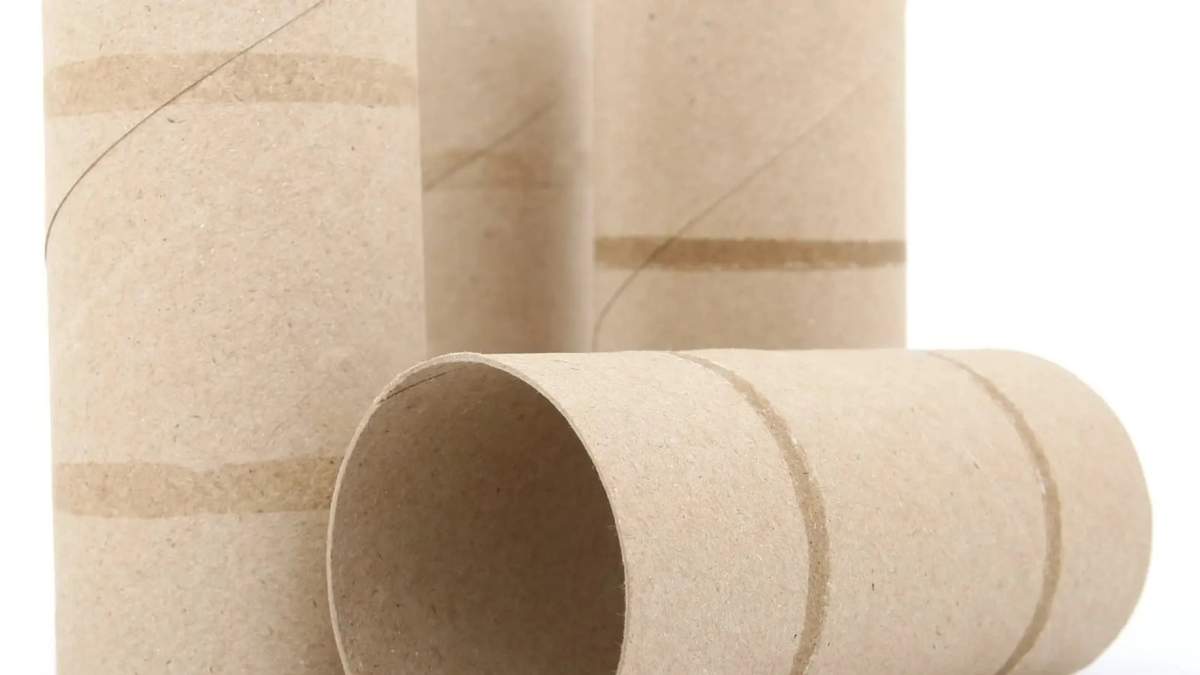 Rollos de papel higiénico. Fuente: (X)