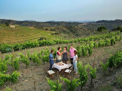 El Enoturismo retoma su actividad para los visitantes en España