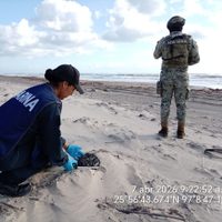 Han recolectado más de seis toneladas de hidrocarburos por derrame en playas tamaulipecas