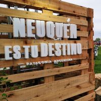 Fue un verdadero éxito: más de 5.000 personas se sumaron a Neuquén Verde