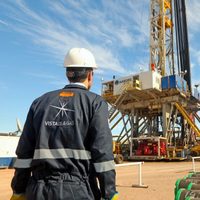 Vista realizó una inversión millonaria en Vaca Muerta y será el único operador de dos áreas