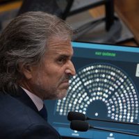 Cuál fue el artículo que el Gobierno no pudo mantener