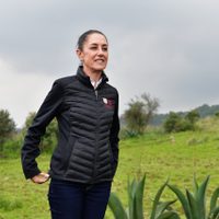 Granjas de bots impulsan la tendencia #EsClaudia en favor de Sheinbaum: análisis