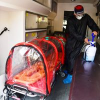 CDMX llega 21 mil 926 decesos por covid-19; la epidemia activa ronda los 27 mil casos