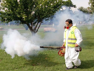 Dengue: murió una joven embarazada en Misiones y confirman un nuevo caso en La Plata