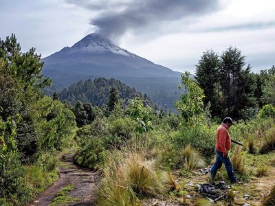 Morelos: Ciruelas de la discordia