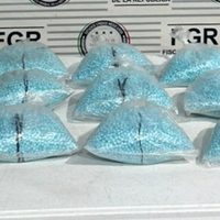 Decomisan 200 mil pastillas de fentanilo en un autobús de Sonora; hay dos detenidos