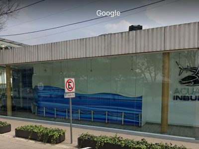 FGJCDMX: Montserrat murió en el Acuario Inbursa por asfixia por sumersión