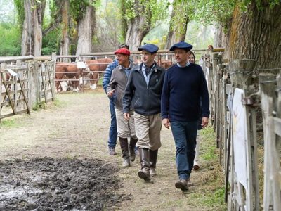 Koopmann reconoció el rol de la ganadería en la ampliación de la matriz productiva