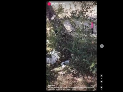 Indignado por la cantidad de basura que juntó en el Lago Falkner