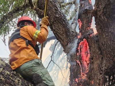 Se registraron cinco focos de incendio en la zona norte del Parque Nacional Lanín