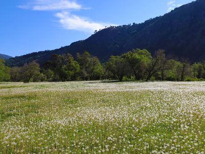 Clima en Neuquén: el miércoles mantendrá la tendencia primaveral
