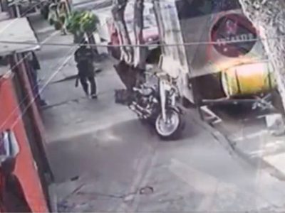 ONG acusa a un hombre de matar perros y gatos para comerlos crudos en Azcapotzalco