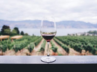 Cambios de paradigma para la venta de vinos