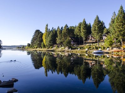 Jornadas de limpieza en las costas del río Litrán en Villa Pehuenia