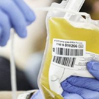 Bariloche: campaña del hospital para donación de plasma