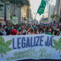 Supremo Tribunal de Brasil despenaliza la posesión de mariguana para uso personal