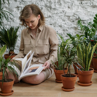 3 plantas que sobreviven sin demasiada atención y casi no necesitan que las riegues