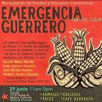 Activistas en Guerrero acusan a grupos delincuenciales de ‘exterminio’; señalan a gobierno de omisión