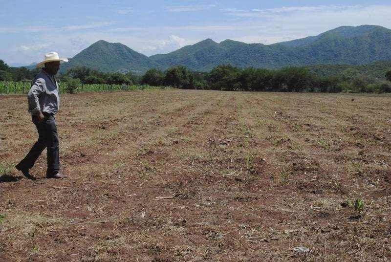 Valle de Tehuacán. Sequía