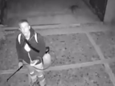 Captan a extranjero arrojando ácido a perros en Oaxaca (VIDEO)