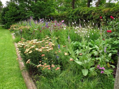 Las plantas que tenés que sembrar en otoño si querés que tus canteros se llenen de flores en la primavera