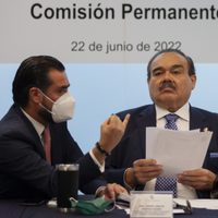 Diputados impugnan decisión de ministro sobre integración de MC a la permanente