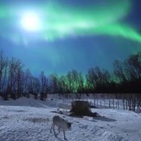 La NASA lanza dos cohetes a las entrañas de una aurora boreal