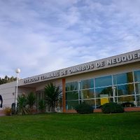 La ETON ya vende pasajes desde Neuquén a Chile