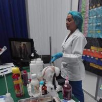 Secretaría de Salud lanza plataforma para fomentar la competencia entre empresas de medicamentos