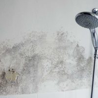 Terminá con los problemas de humedad y mal olor en tu casa usando solo un ingrediente: sirve para baños y cocina