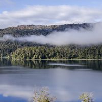 Apareció otra foto del Nahuelito, esta vez fue una periodista la que vio al monstruo de la leyenda