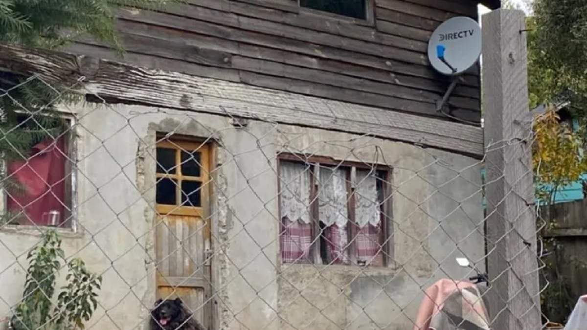 Los perros salieron de forma imprevista de un domicilio y atacaron a la mujer con su pequeña hija. Fuente: (Diario Andino)