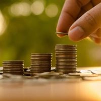 Con una popular planta: el ritual efectivo y poderoso para recibir dinero de forma inmediata