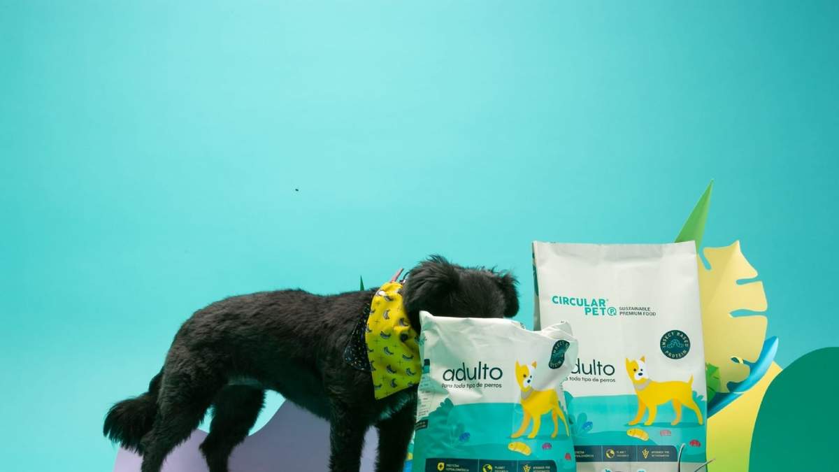 Bolsas de alimento. Fuente: (X)