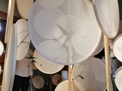 Exponen en Puebla "Mundo Colibrí, un regalo de las Américas"
