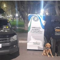 Con el aporte de Roco, dos hombres fueron atrapados cuando transportaban droga