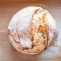 Google lo confirmó: descubrí por qué el mundo aprendió a cocinar pan casero en el 2020