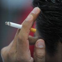 El número de fumadores desciende en 20 millones en todo el mundo desde 2015: OMS